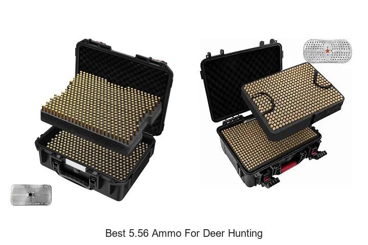 best 5.56 ammo for deer hunting