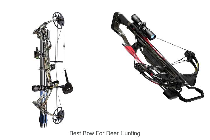 best bow for deer hunting