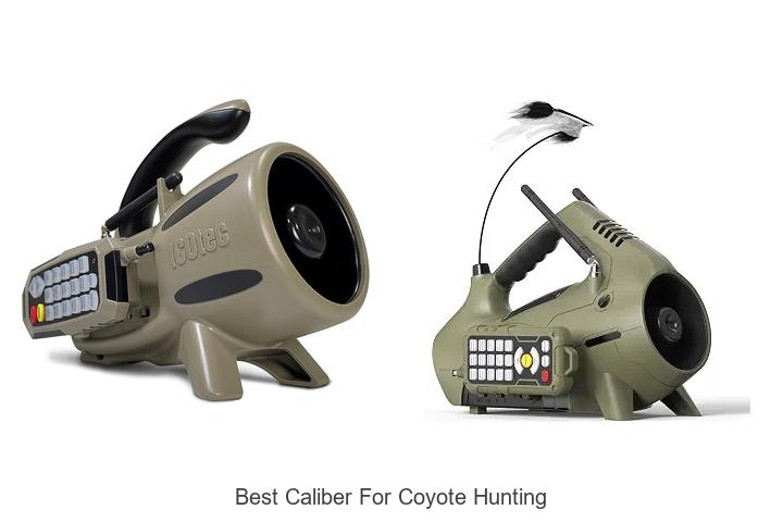 best caliber for coyote hunting