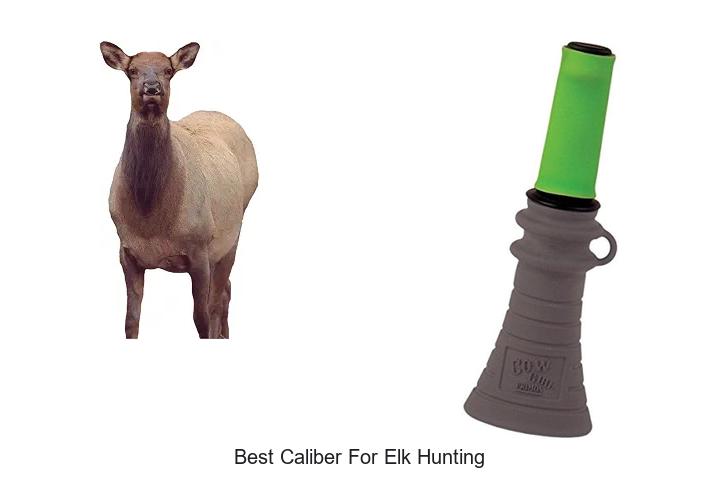 best caliber for elk hunting