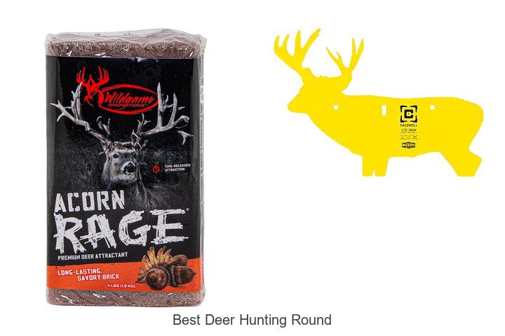 best deer hunting round