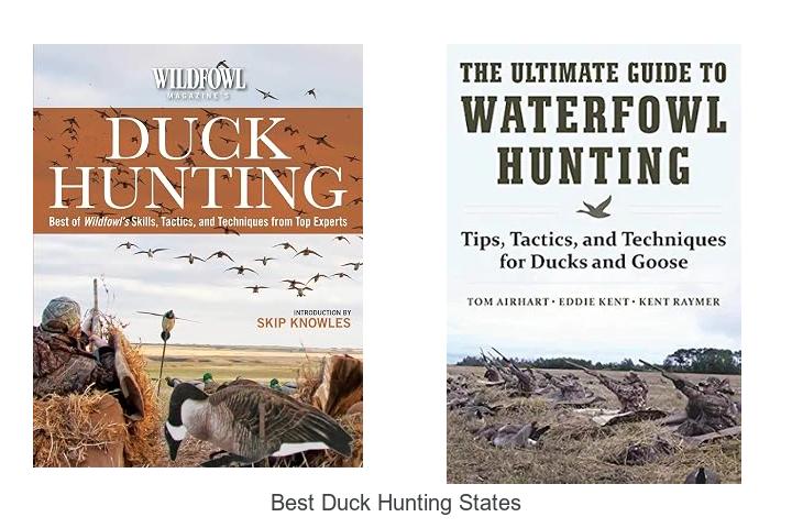 best duck hunting states