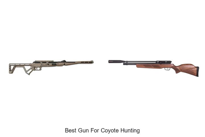 best gun for coyote hunting