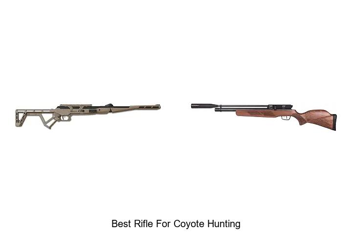 best rifle for coyote hunting