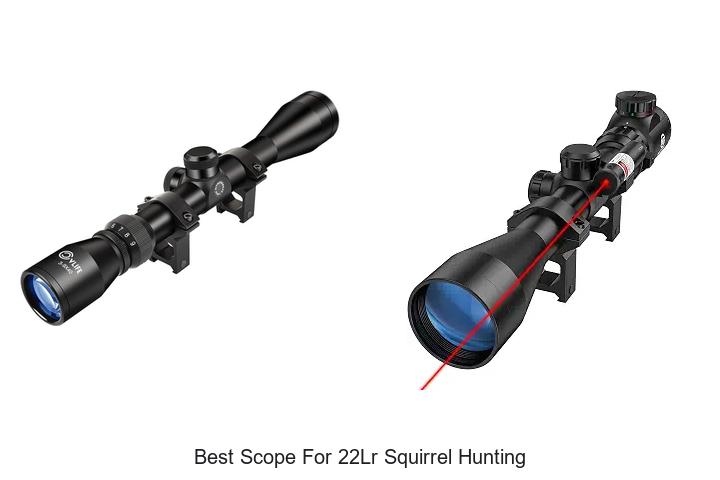 best scope for 22lr squirrel hunting