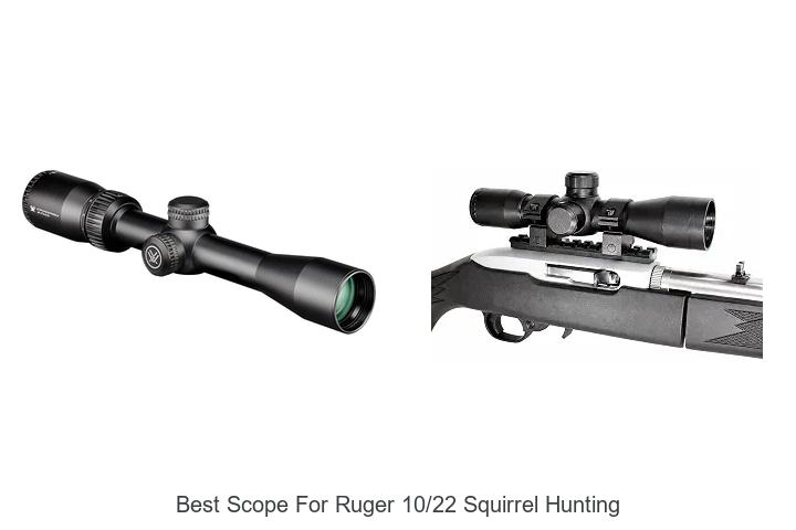 best scope for ruger 10 22 squirrel hunting