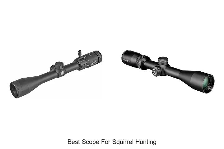best scope for squirrel hunting
