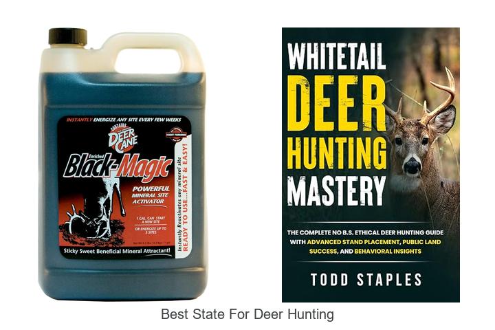 best state for deer hunting