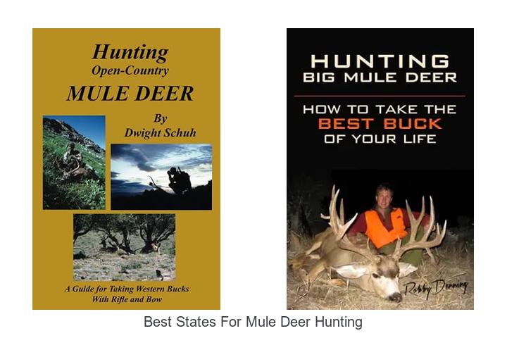 best states for mule deer hunting