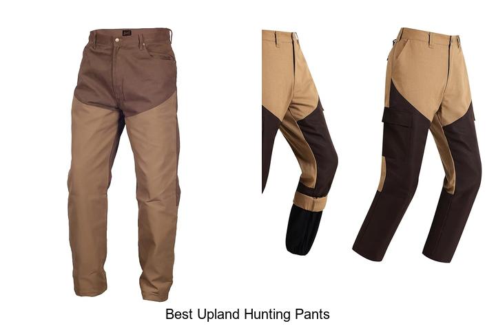 best upland hunting pants